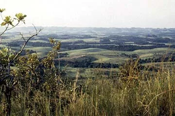 planalto gabao